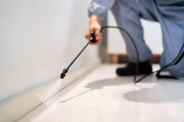 Licensed Pest Control service in Salina, UT - Show Me Pest Control
